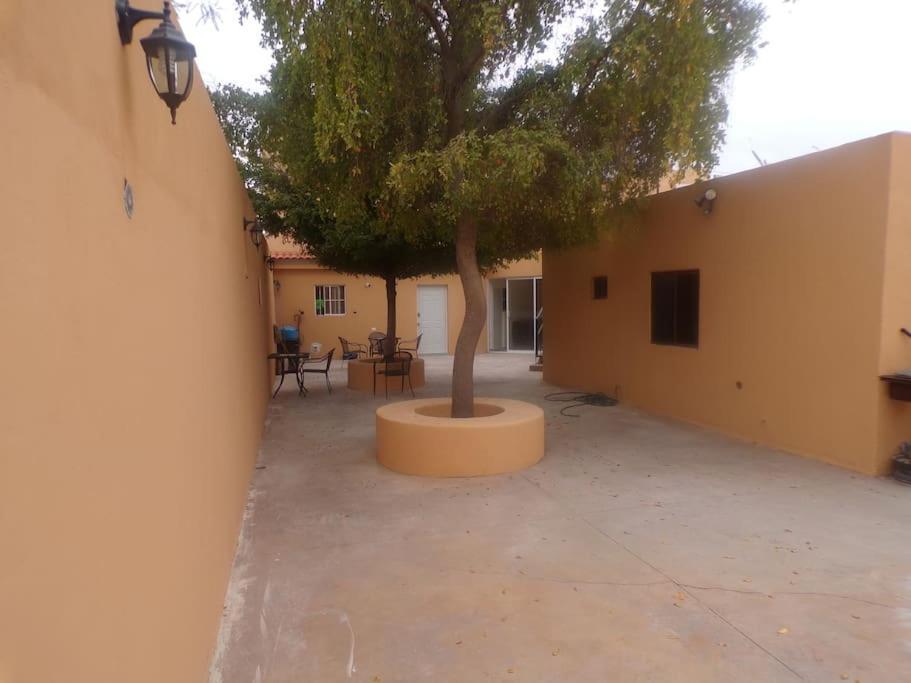 Excelente departamento 12 muy centrico con internet de alta velocidad , ideal para home office Hermosillo Exterior foto